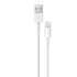 Scanpart Apple Kabel Light 2mt 819 Orig_