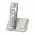 Panasonic KX-TGE210NLN DECT Telefoon Grijs/Wit_